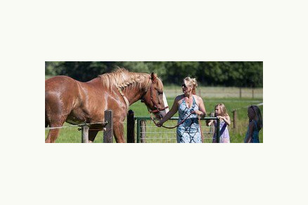 Bungalow Het Caitwickerzand op de Veluwe met paardenweide VMP024